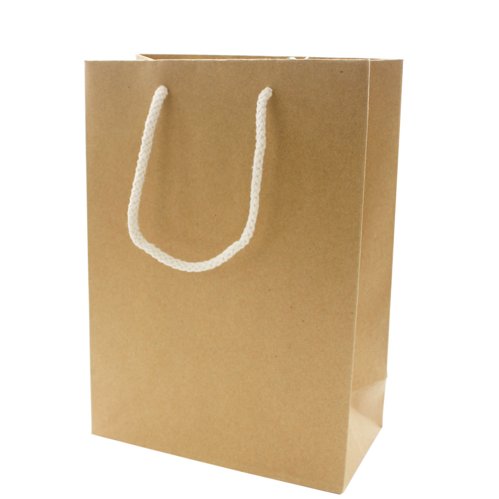 HE3105Kraft Gift Bag With Two Rope Handles (Reinforced Top & Base) Kwong Wah Paper Product Co Ltd